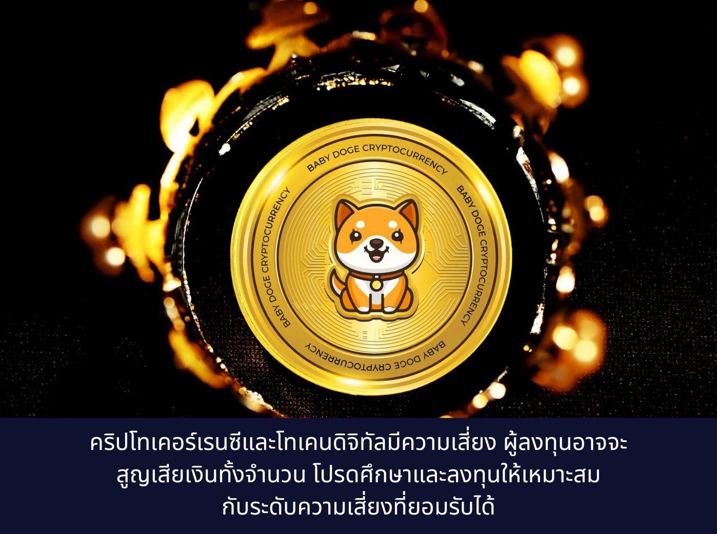 BabyDoge coin in the center of a crown