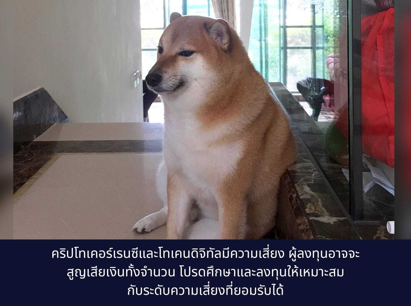 Balltze nicknamed Cheems in online memes, was a Shiba Inu from Hong Kong