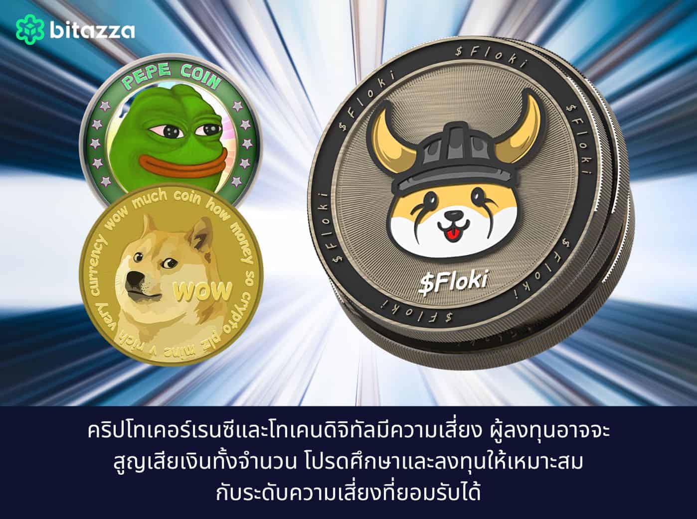 Floki, DOGE and PEPE coins