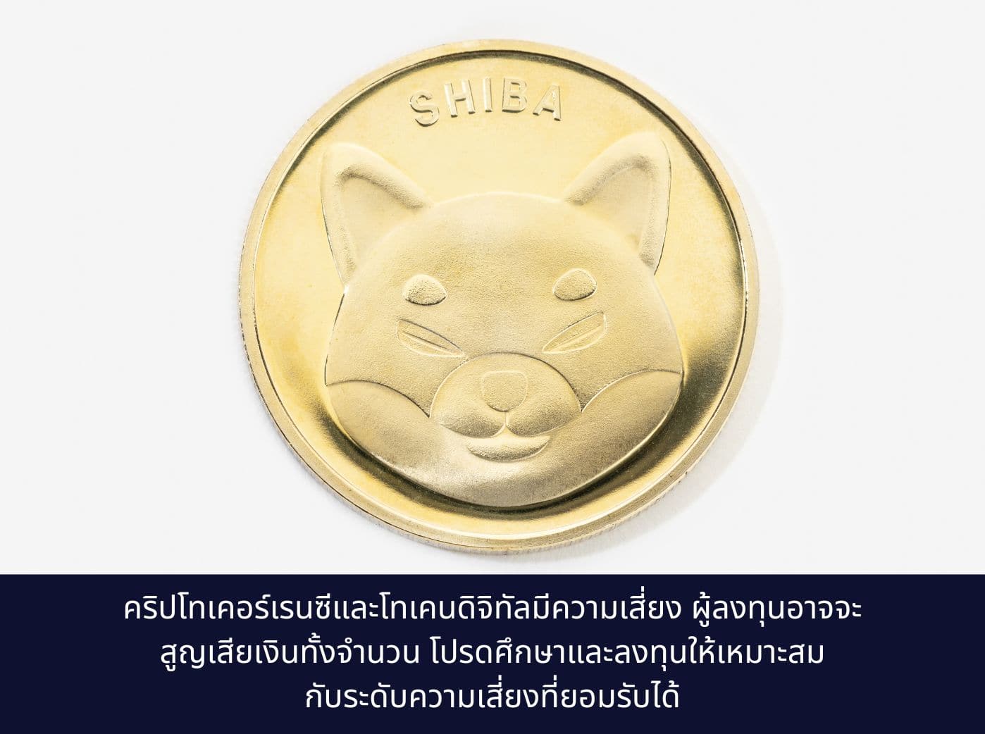 Gold Shiba Coin on White Background (1)