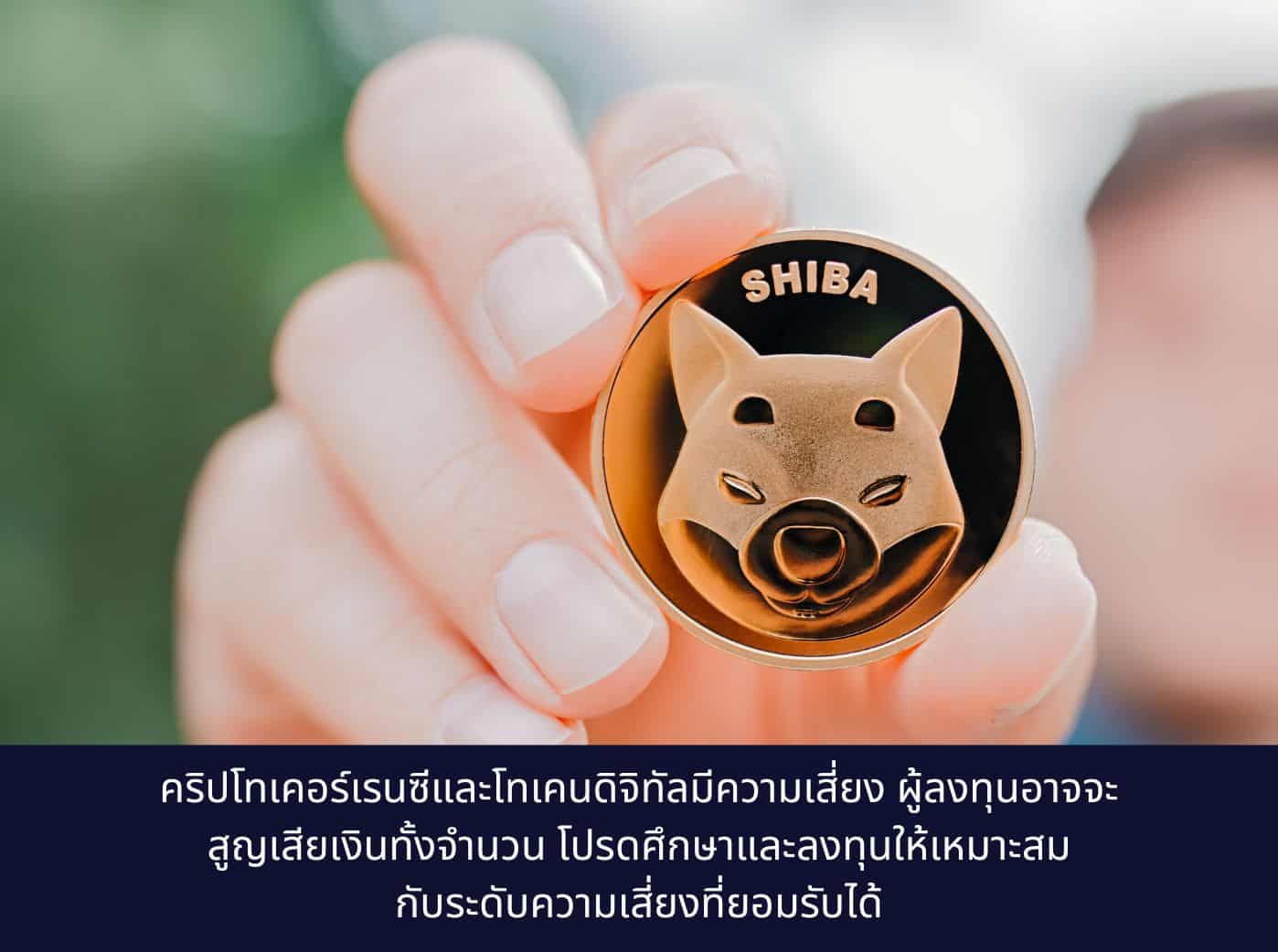 Persons Hand Holding a Shiba Token