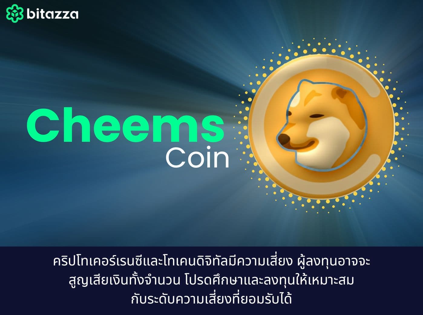 What is CHEEMS Coin