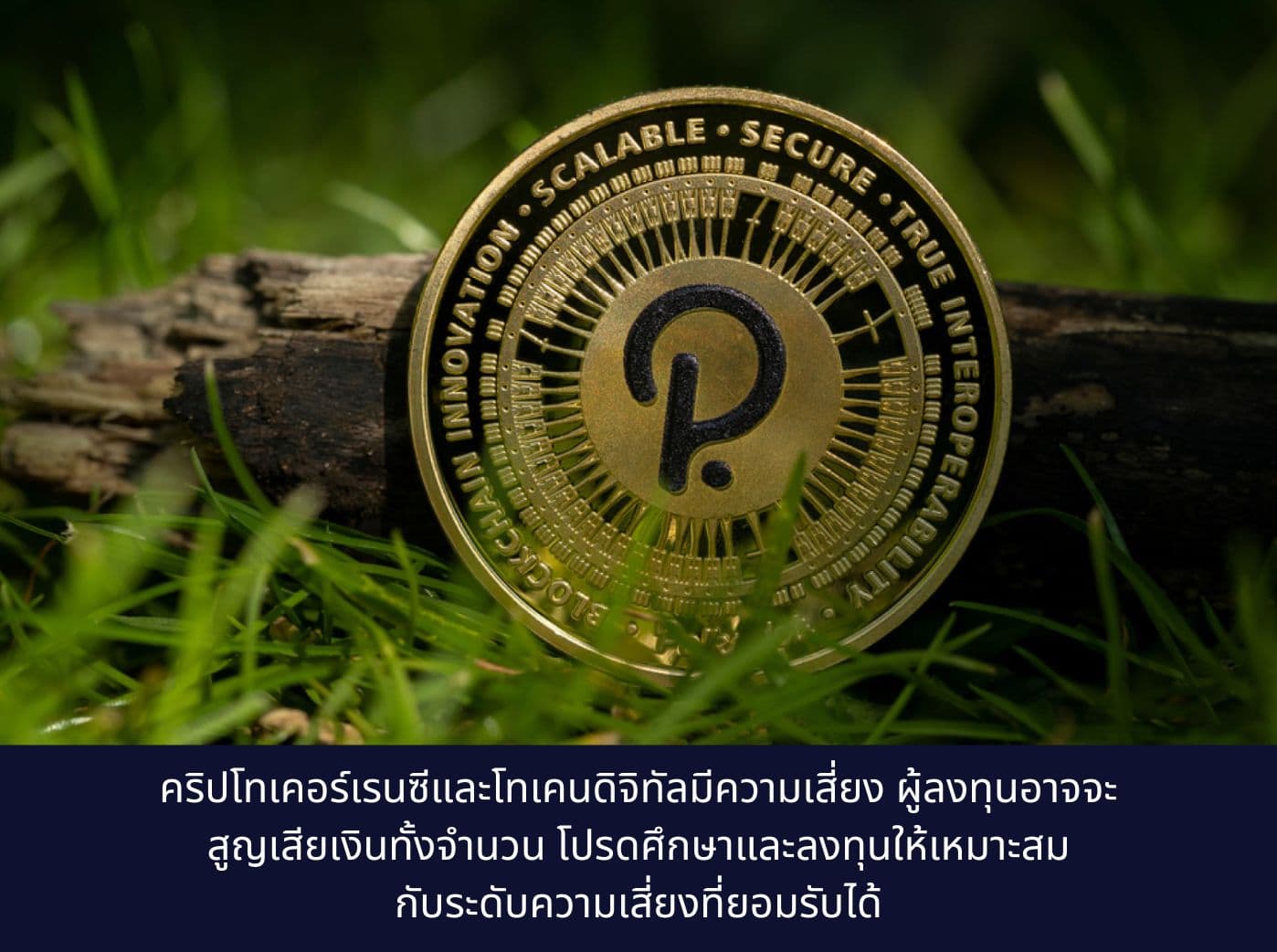 What is Polkadot (DOT)