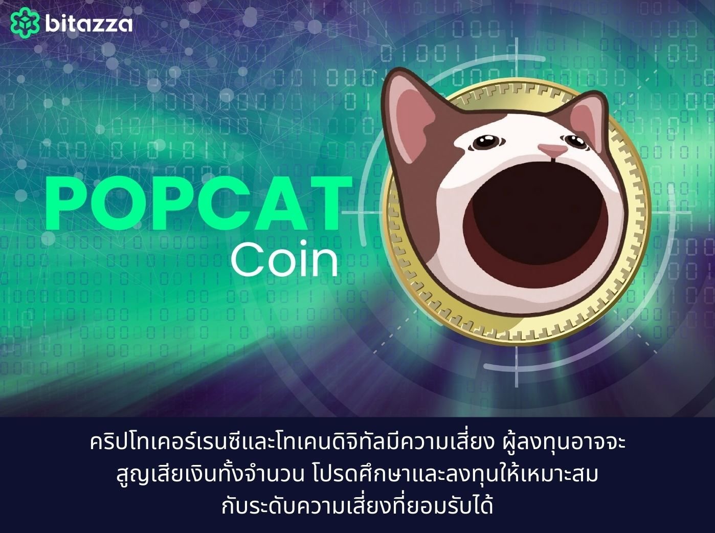 What is PopCat coin