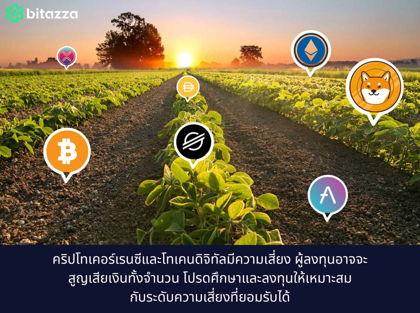 Yield Farming Crypto