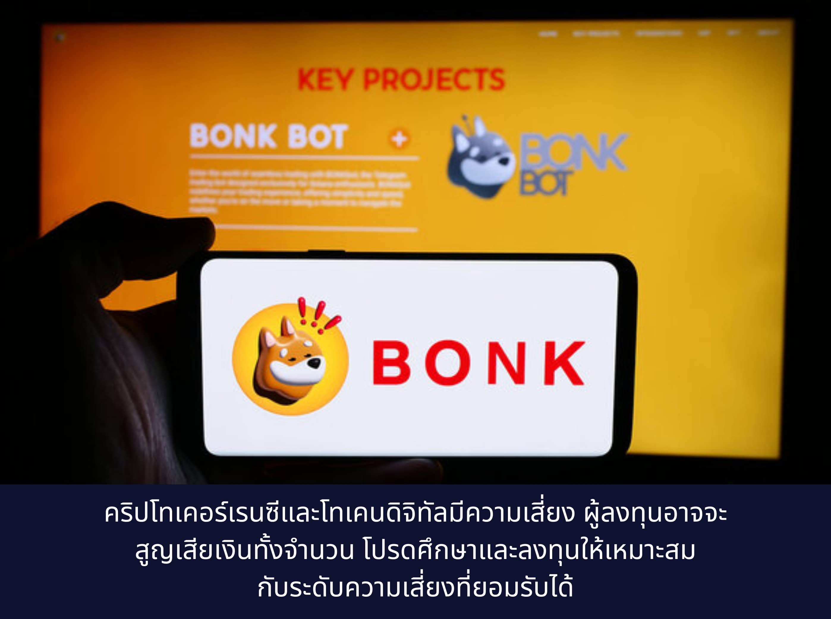 bonk meme coin on phone