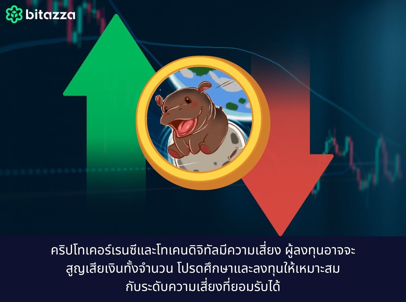 moodeng coin crypto