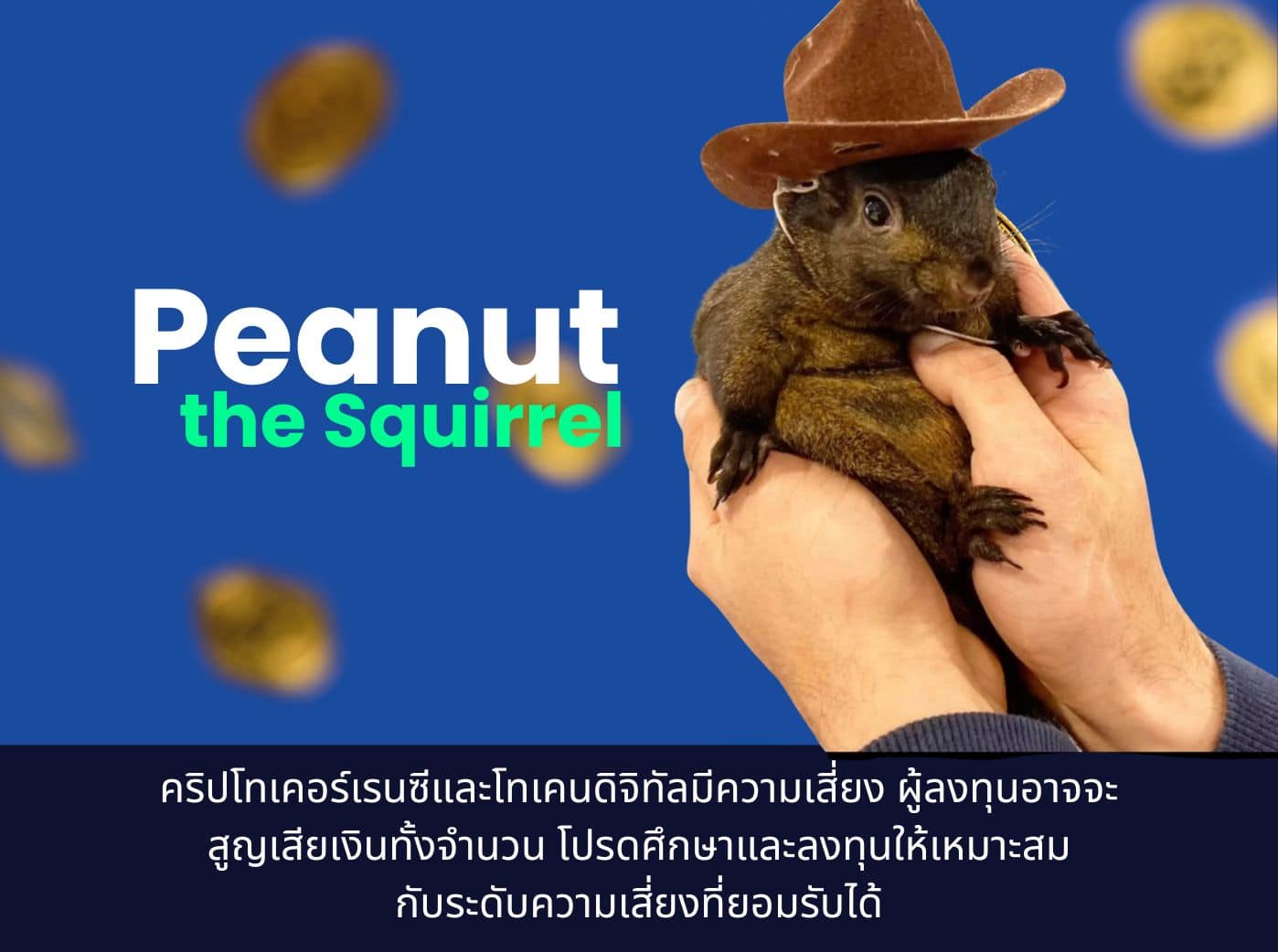 peanut the squirrel