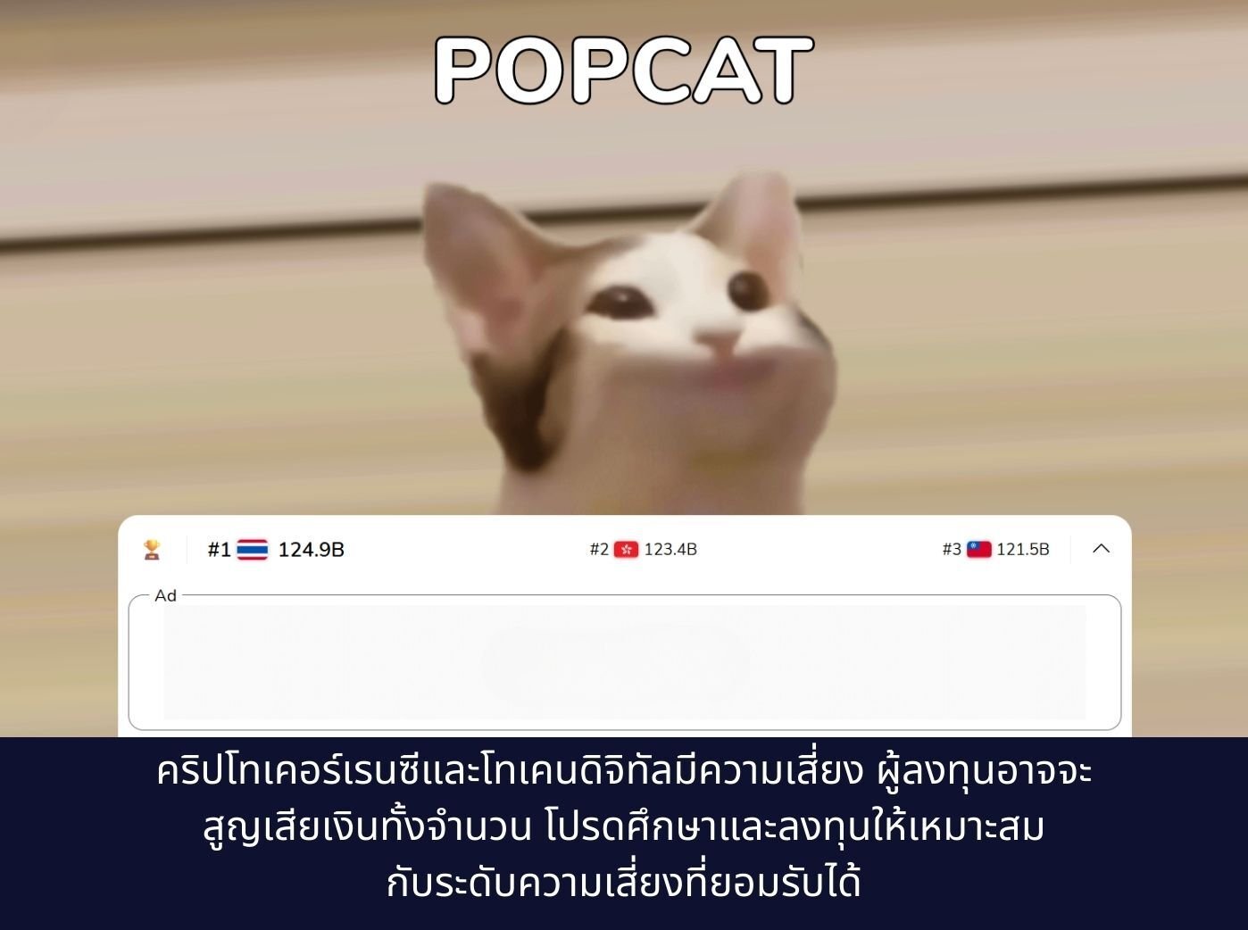 popcat coin-1