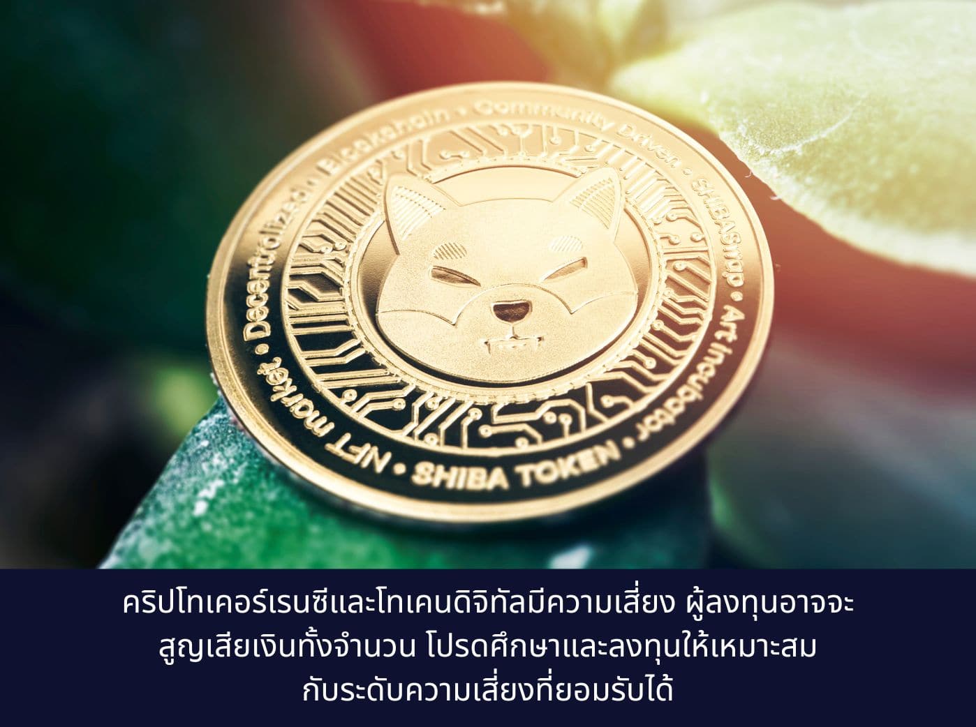 shiba coin Investing Money in Cryptocurrency