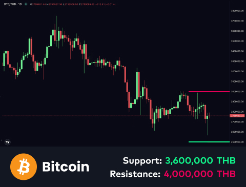 technical-en-01@1 (13)