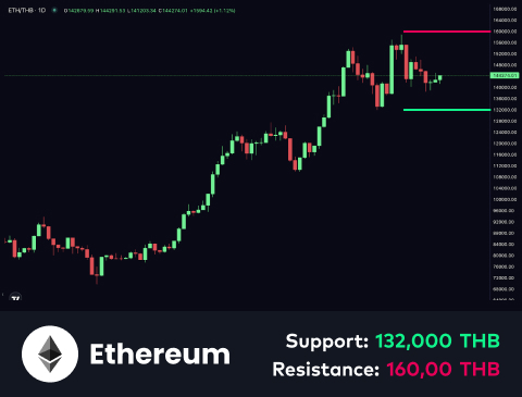 technical-en-02@1 (17)