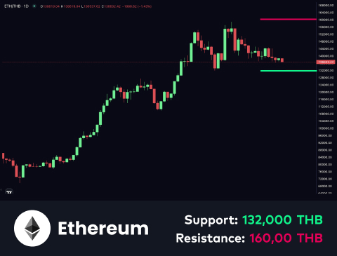 technical-en-02@1 (18)