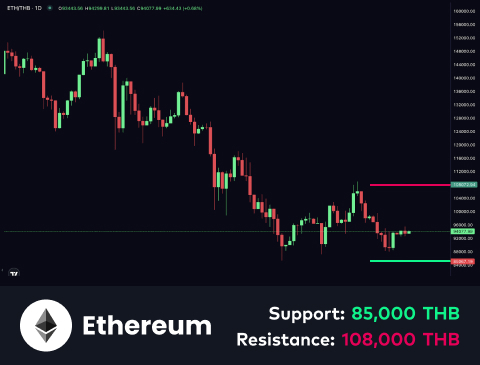 technical-en-02@1-Dec-24-2025-06-51-19-7705-AM