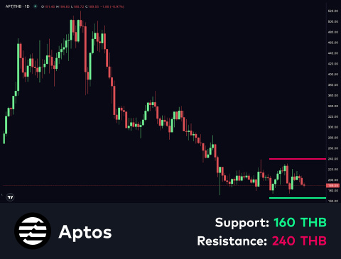 technical-en-03@1-Mar-12-2025-01-35-50-2608-PM