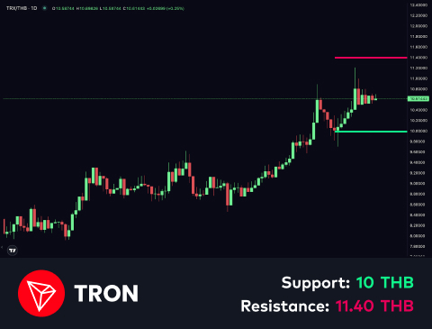technical-en-04@1 (14)