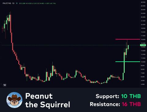 technical-en-04@1-May-14-2025-11-13-01-1926-AM