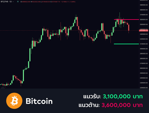 technical-th-01@1-Jan-29-2025-12-00-28-6291-PM