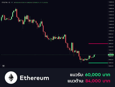 technical-th-02@1-Mar-26-2025-03-34-49-9149-PM