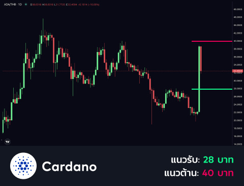 technical-th-03@1-Mar-05-2025-10-18-06-7105-AM