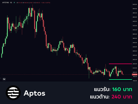 technical-th-03@1-Mar-12-2025-01-40-35-1665-PM