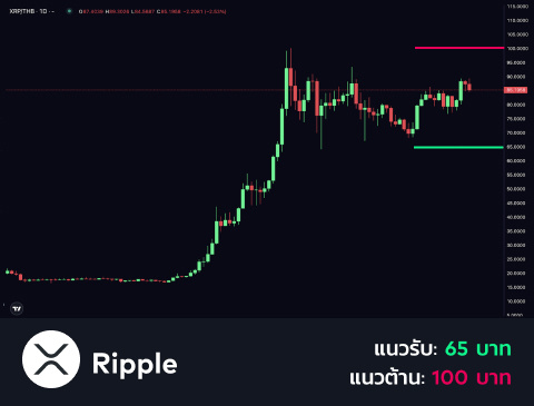 technical-th-04@1-Jan-16-2025-04-06-46-5811-AM