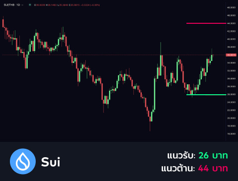 technical-th-04@1-Sep-17-2024-10-34-08-1431-AM