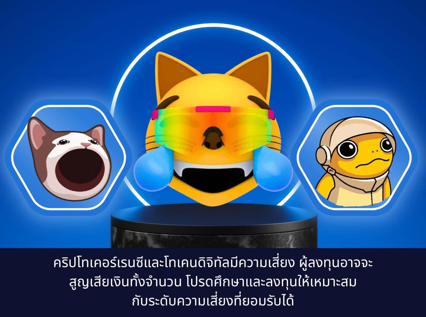 the difference among mog, popcat and turbo coin