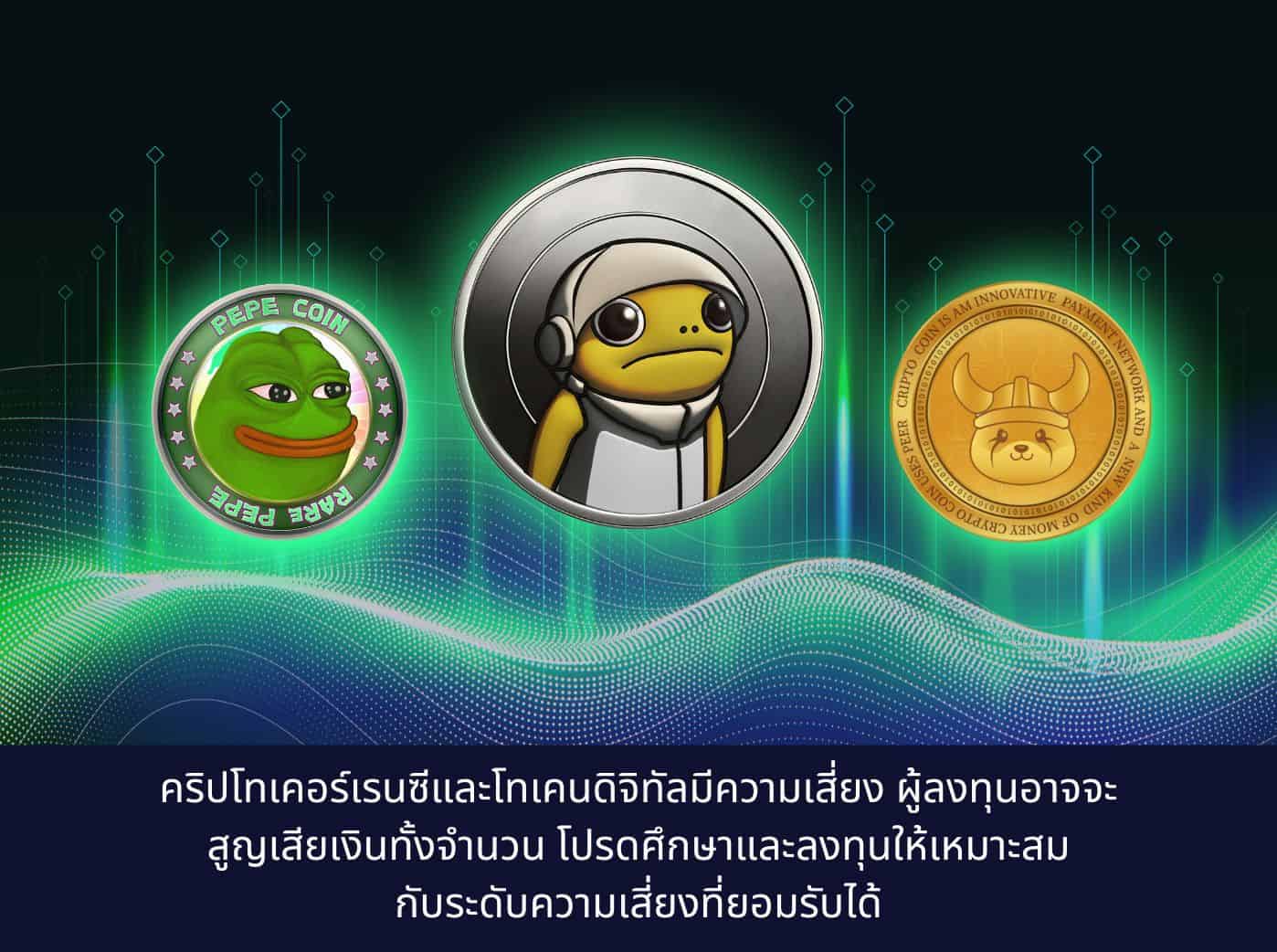 the difference among turbo, pepe and floki coin