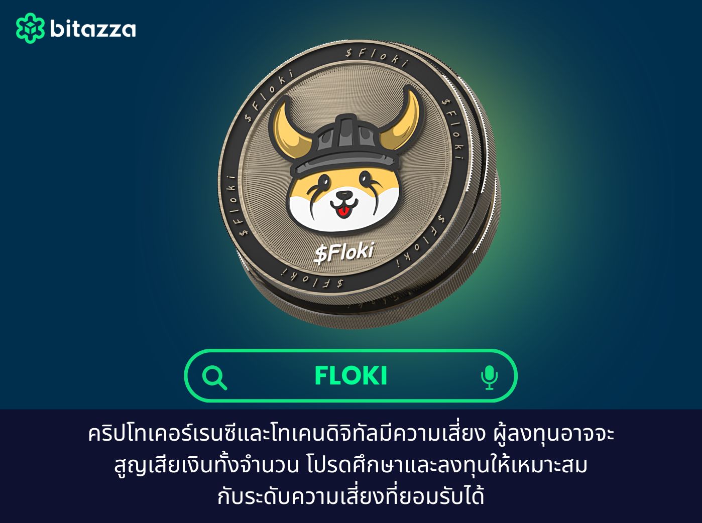 what is FLOKI coin