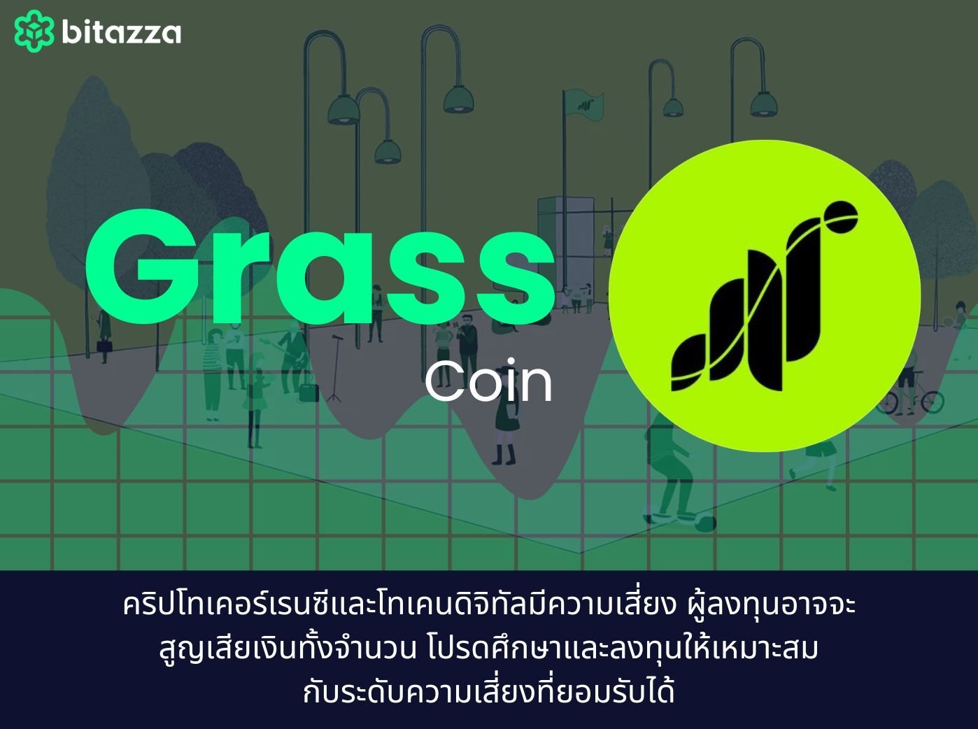 what is Grass coin