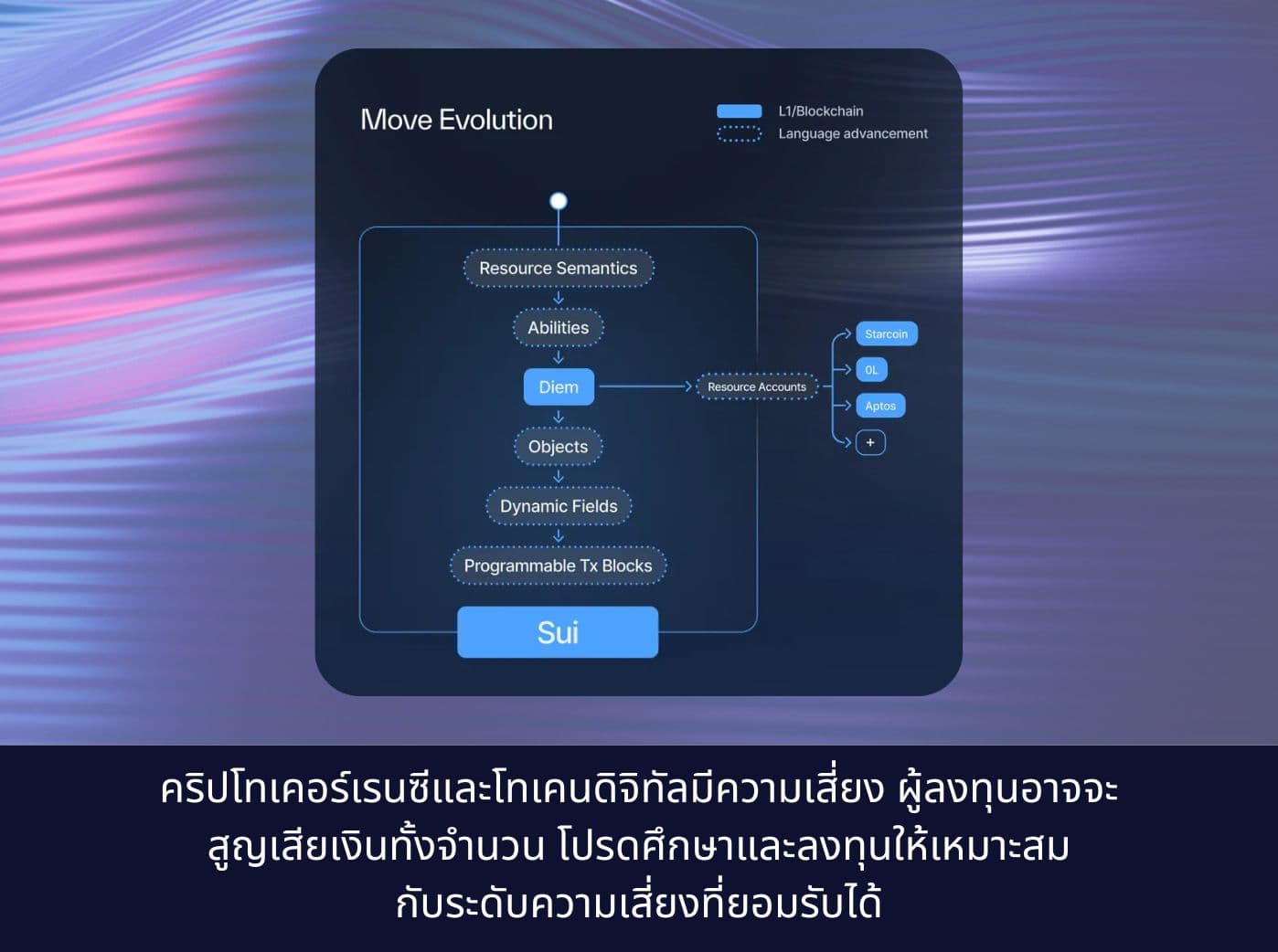 what is Move Programming Language