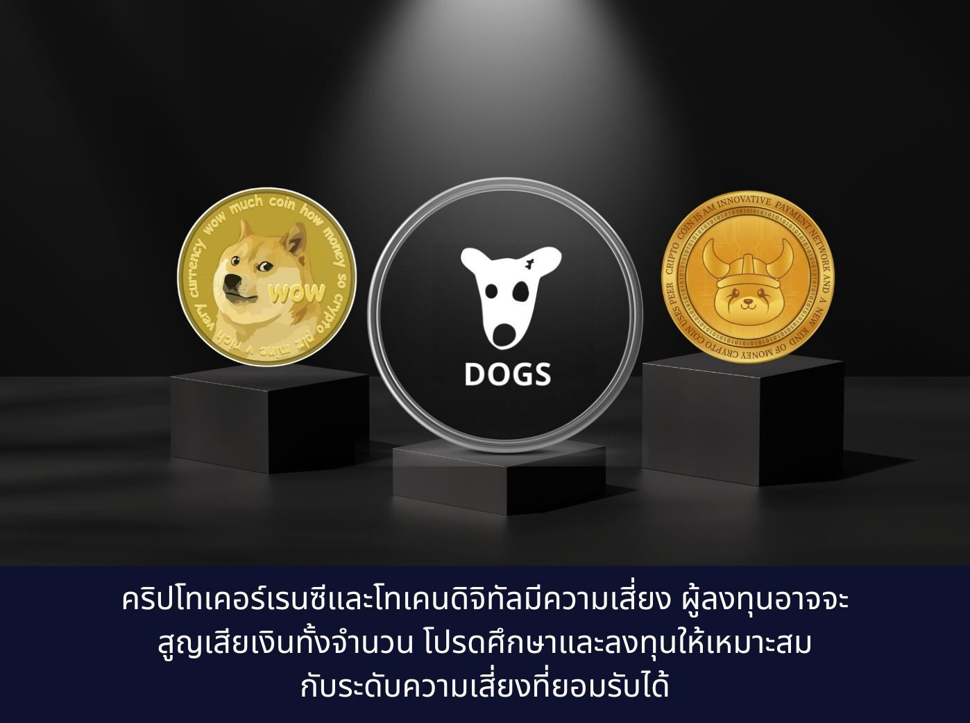 what is difference of dogs coin, doge coin and FLOKI coin