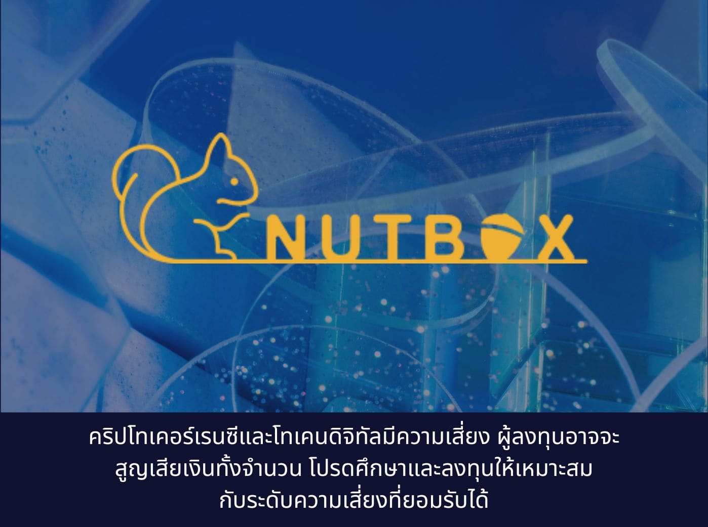 what is nutbox