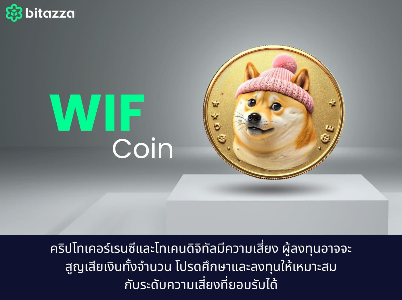 what is wif coin