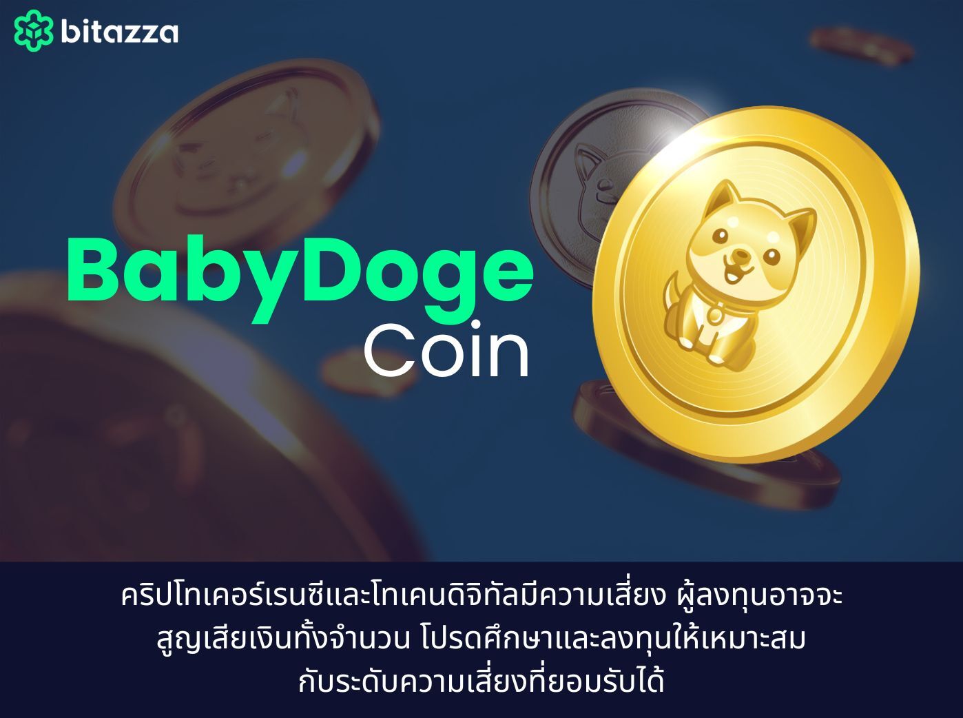 เหรียญ BabyDoge