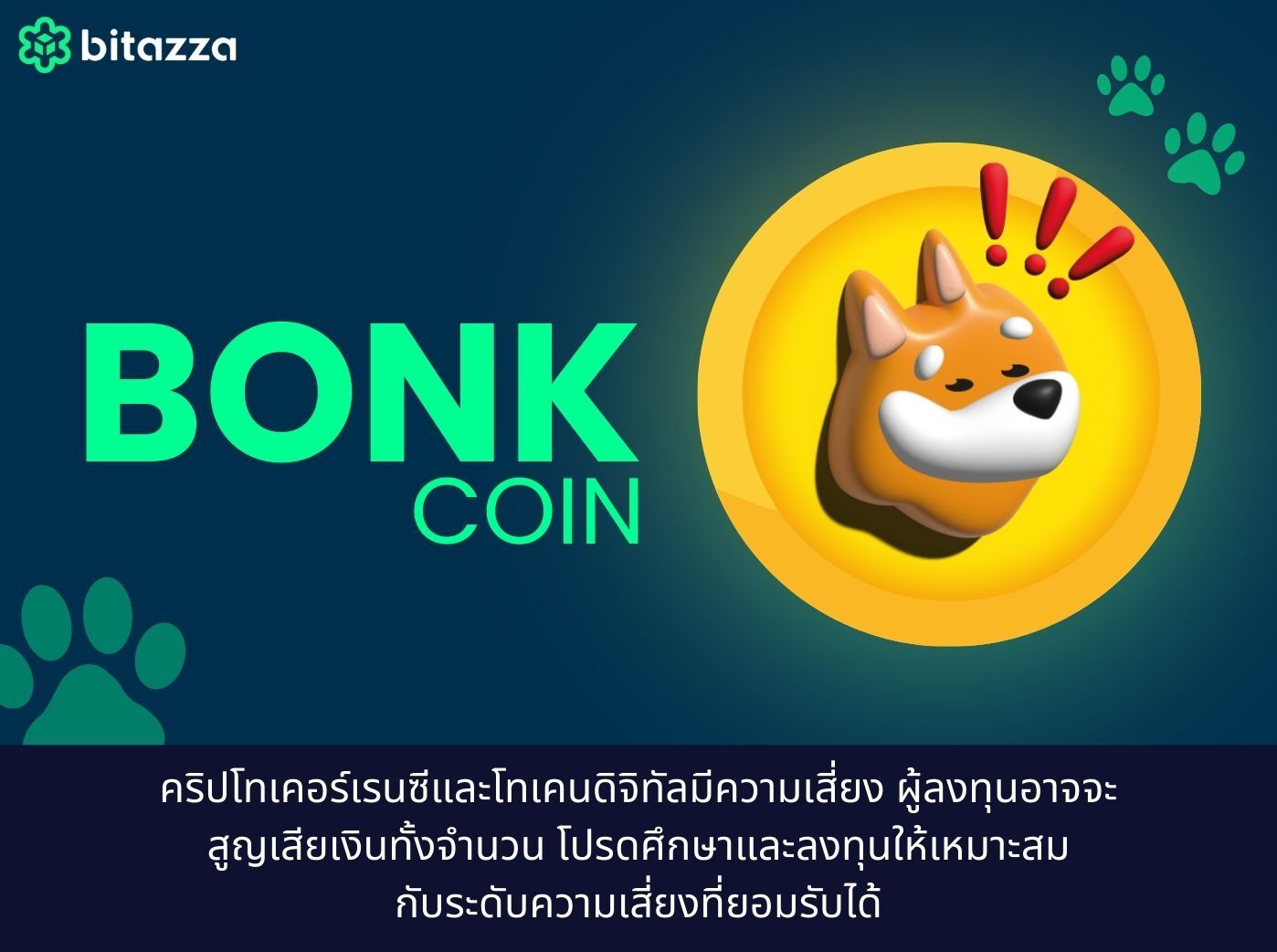 Bonk Coin