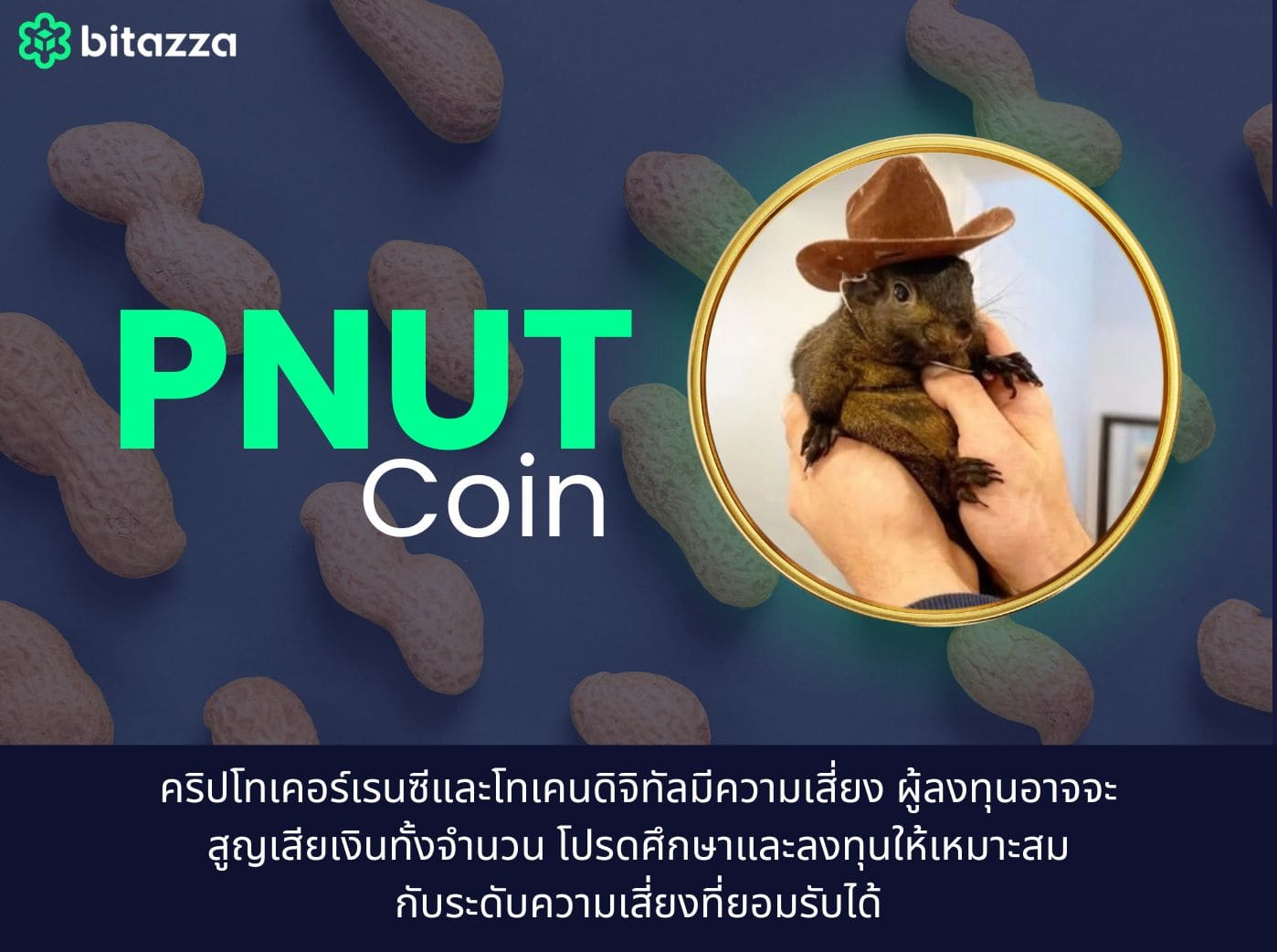 PNUT coin